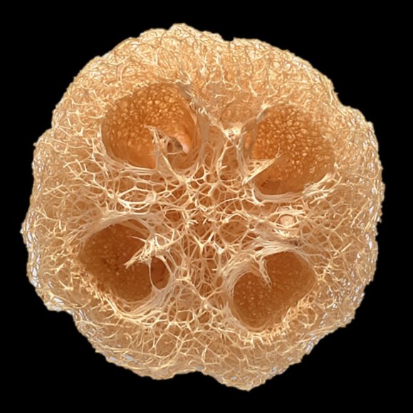 NWT All Natural Loofah - Picture 2 of 2